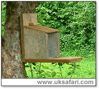 Squirrel Feeder - Photo  Copyright 2004 Gary Bradley