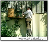 Checking the Owls - Photo  Copyright 2004 Julie Finnis